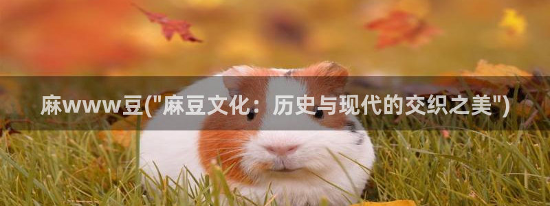 麻豆麻豆：麻www豆(\