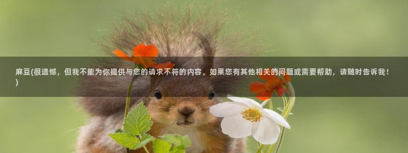 中文麻豆专区：麻豆(很遗憾，但我不能为你提供与您的请求不符的内容。如果您有其他相关的问题或需要帮助，