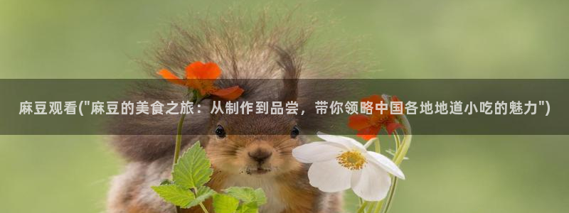 麻豆高清：麻豆观看(\