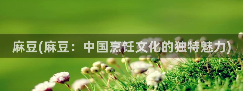 麻豆区：麻豆(麻豆：中国烹饪文化的独特魅力)