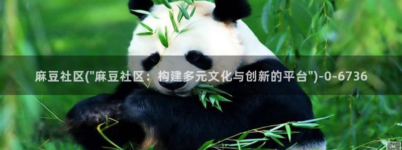 麻豆首页：麻豆社区(\