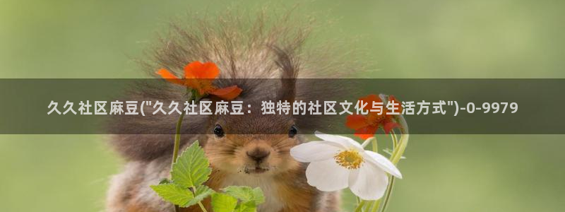 麻豆首页：久久社区麻豆(\