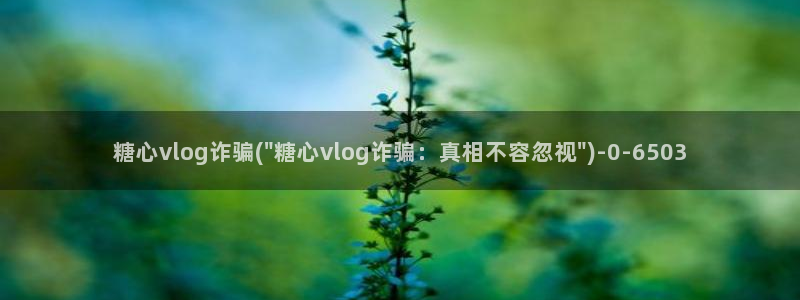 .糖心vlog：糖心vlog诈骗(\