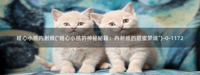 糖心vlog官网版下载：糖心小桃内射频(\