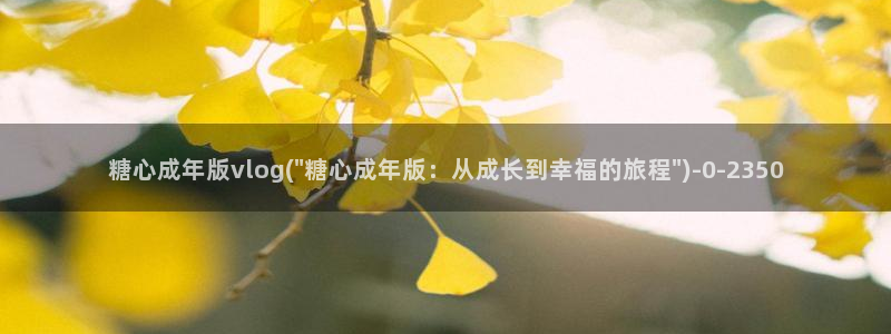 糖心vlogv：糖心成年版vlog(\
