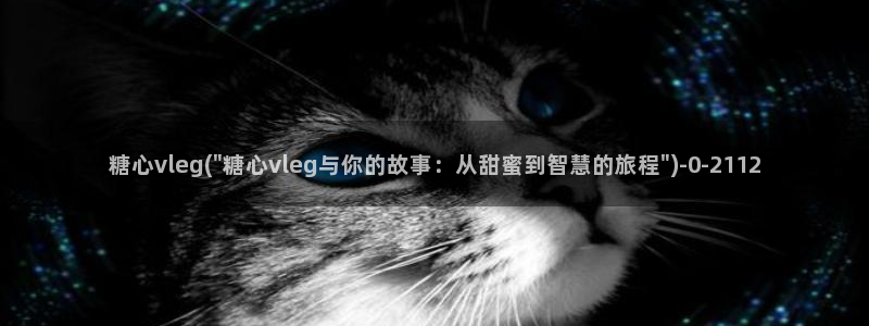 糖心vlog官网进入