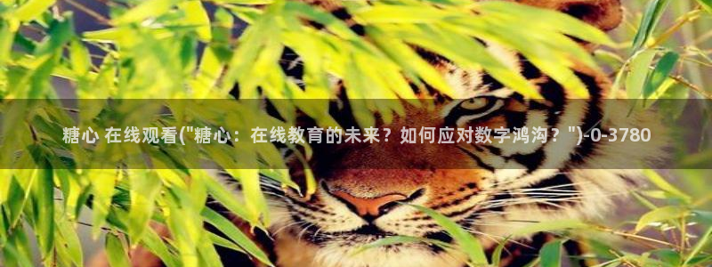 糖心vlog在线观看_糖心vlog小：糖心 在线观看(\
