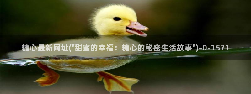 糖心vlog在线看