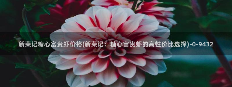 糖心vlog免费破解版下载