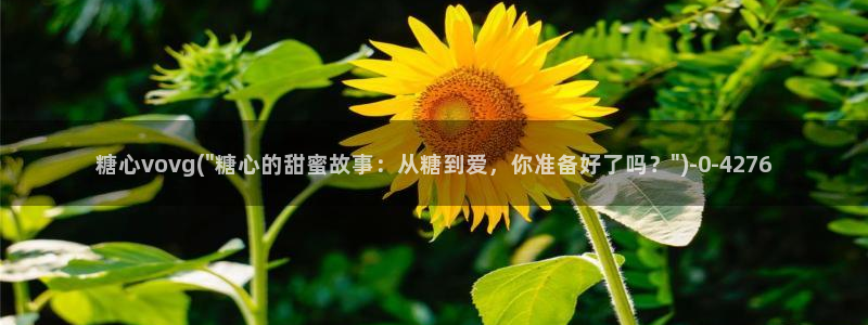 糖心vlog破解版