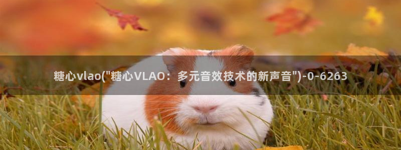 糖心vlog破解免费版