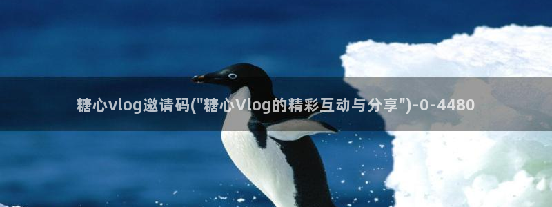 vlog糖心
